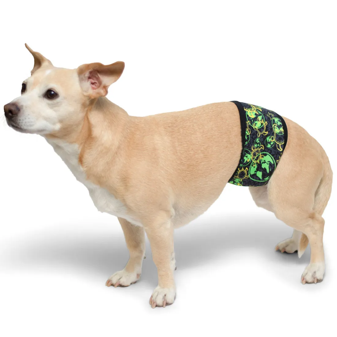 Dog Belly Band - Global Green