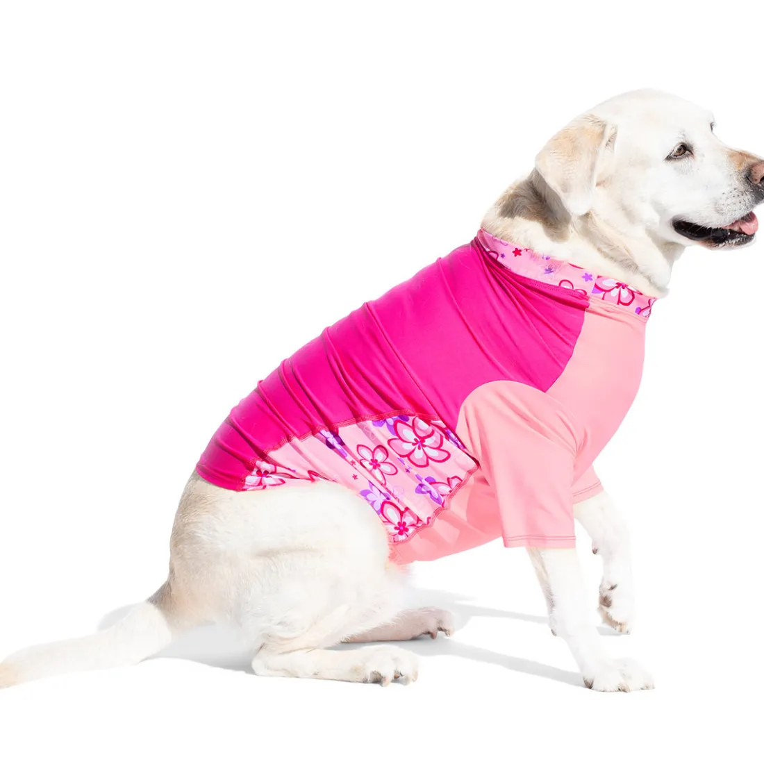 Dog Sun Shirt - Cereza (Made in USA)