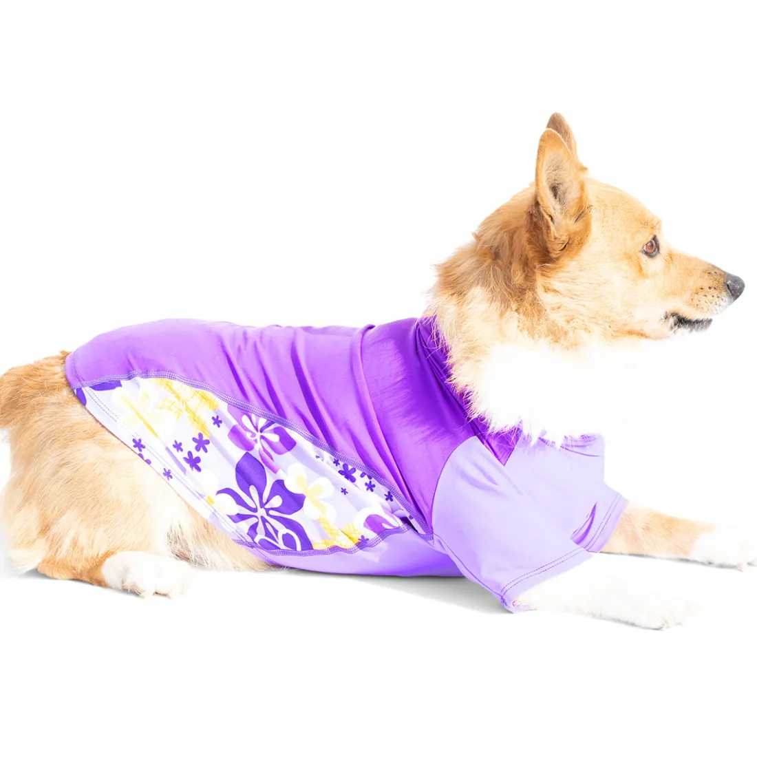 Dog Sun Shirt - Uva (Made in USA)