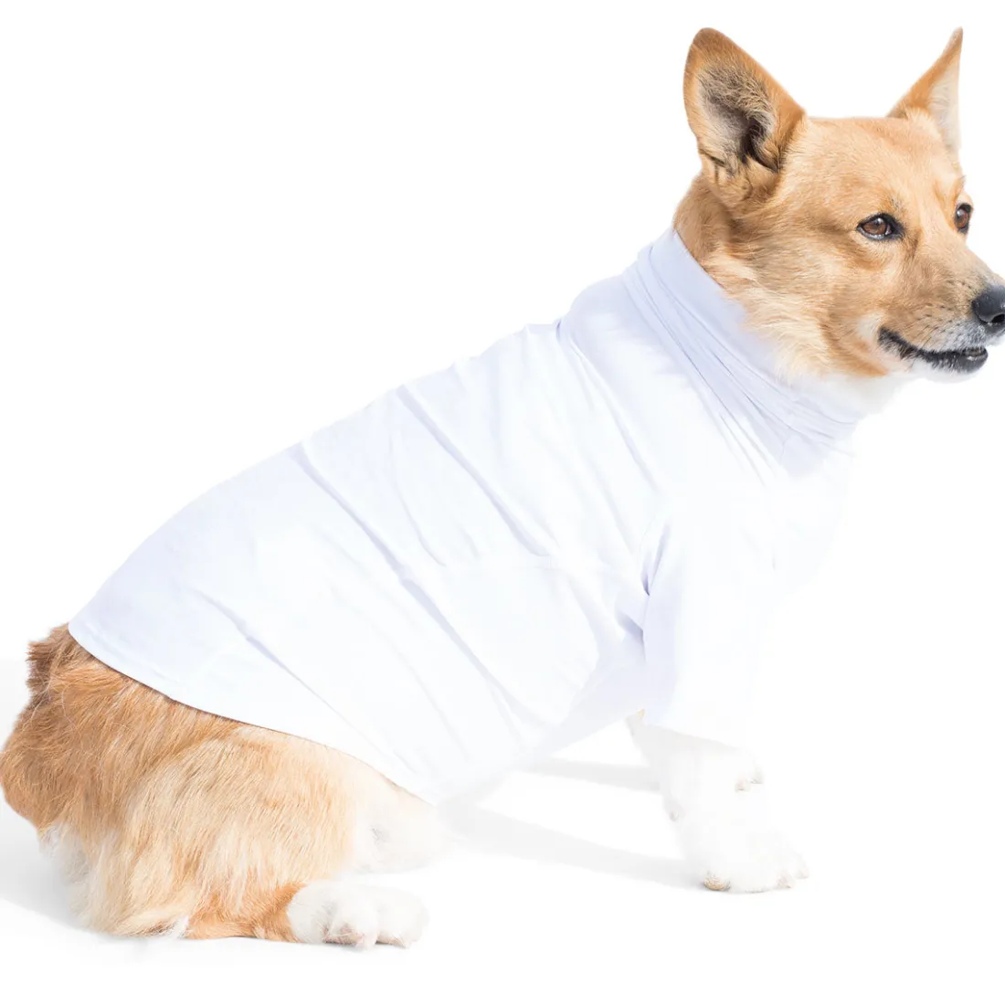 Dog Sun Shirt - White (Made in USA)