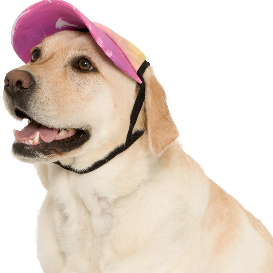 Dog Visor - Palm Tree Pink